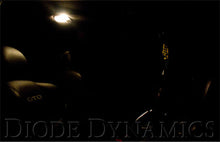 Load image into Gallery viewer, User 1