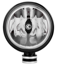 Load image into Gallery viewer, Photo - Primary