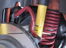 Load image into Gallery viewer, Photo - Primary