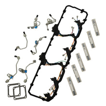 Load image into Gallery viewer, Photo - Primary